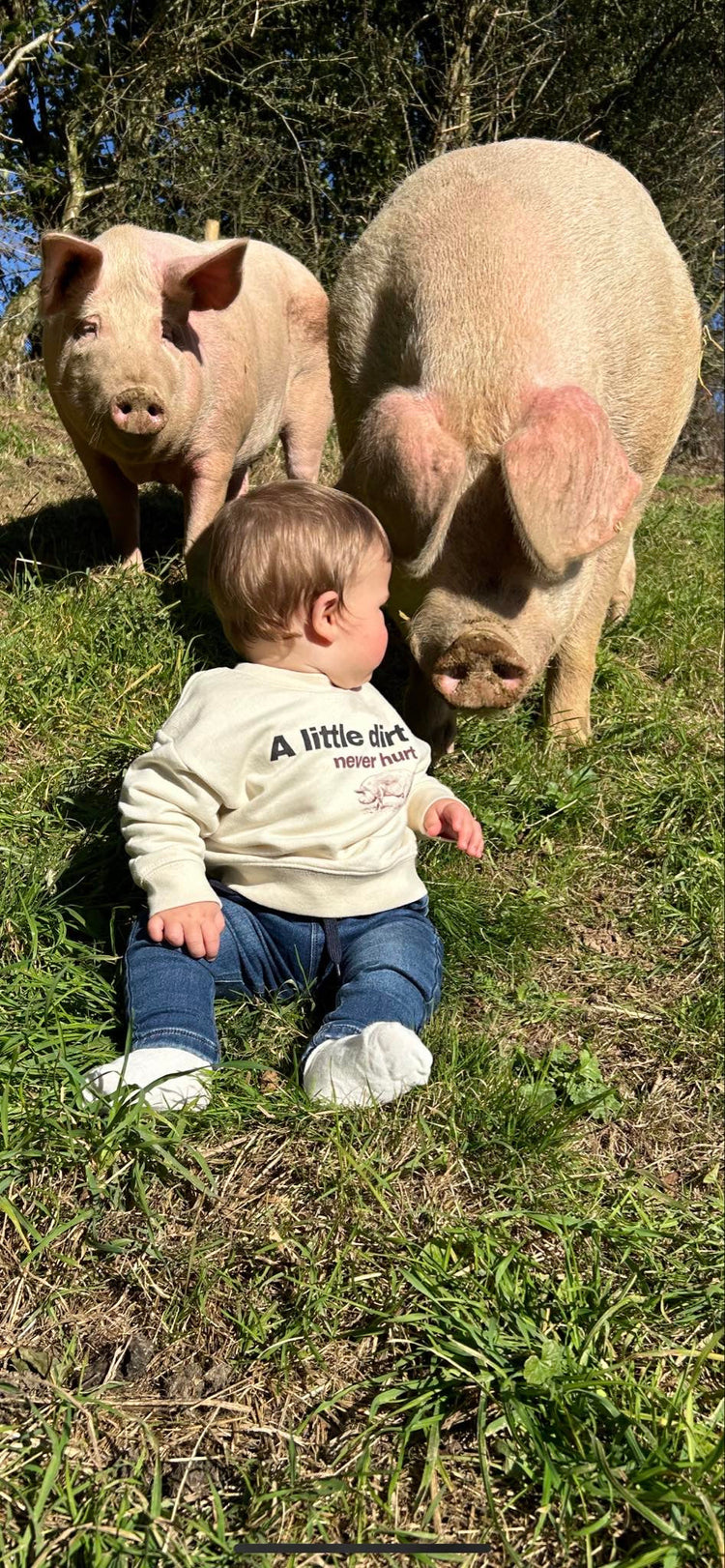 Baby Adventure Sweatshirts