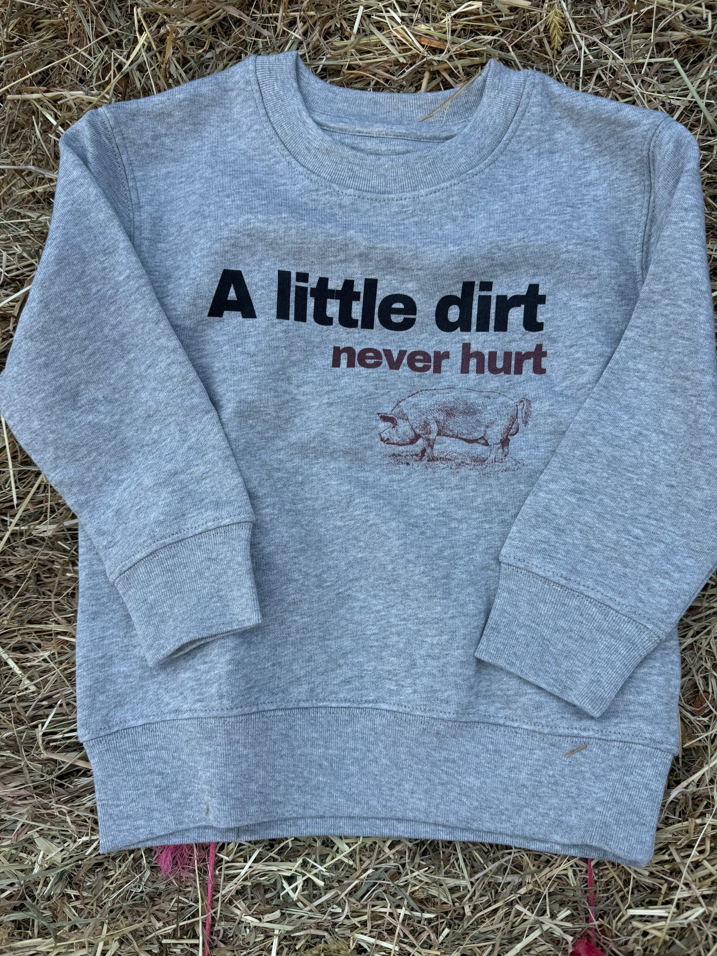 Sew Aneira A Little Dirt Never Hurt Grey Sweatshirt