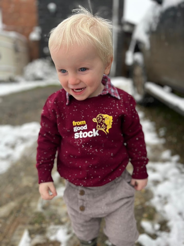 Children’s From Good Stock Bull Sweatshirt